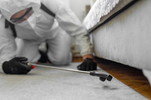 Professional Cockroach Control technician working in Costa Mesa, CA