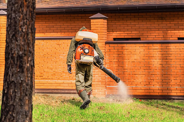 Trusted Cockroach Control service in Costa Mesa, CA - Nex Pest Control